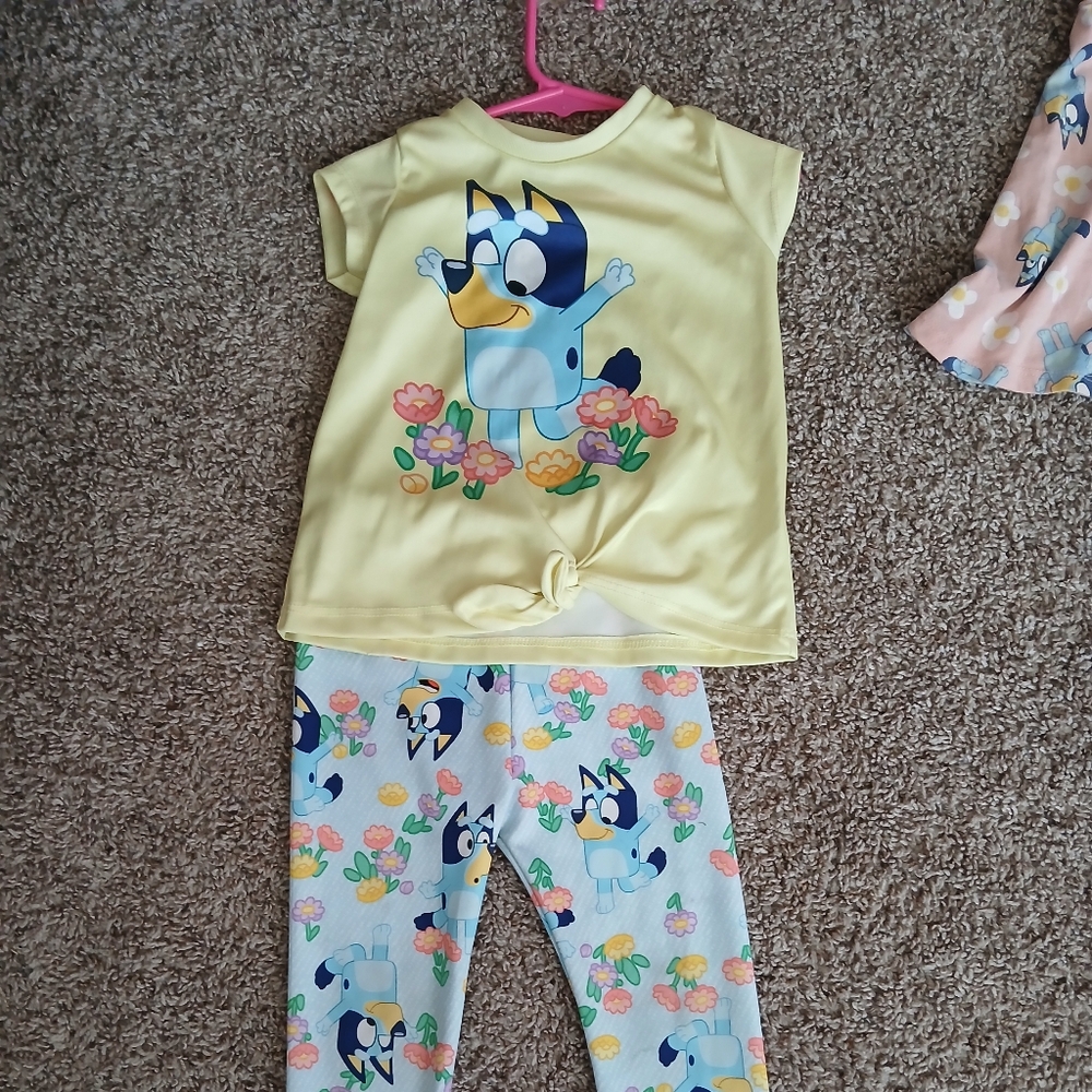 Bluey two-piece kids outfit